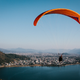 Illustration for article titled Parahawking: An Actual Sport That Mixes Paragliding And GIANT BIRDS